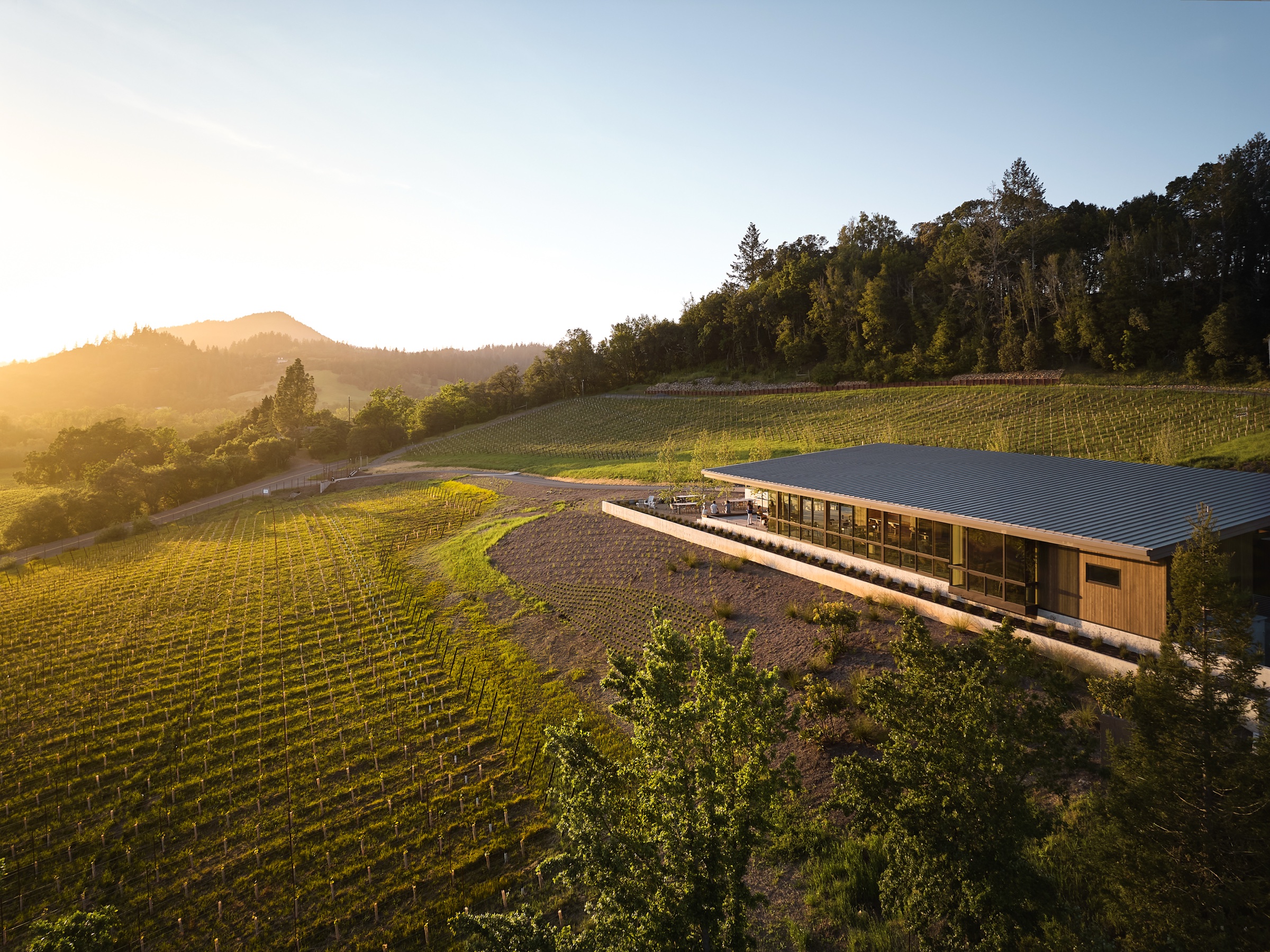 Selected Aerial — Bohlin Cywinski Jackson — Photography Elias Blanton & Matthew Millman — photograph by Elias Blanton
